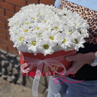 Домашнее поздравление